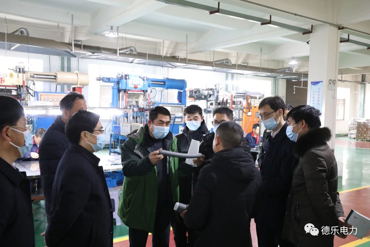 湖北理工學(xué)院博士團赴德樂(lè )電力展開(kāi)技術(shù)合作活動(dòng)