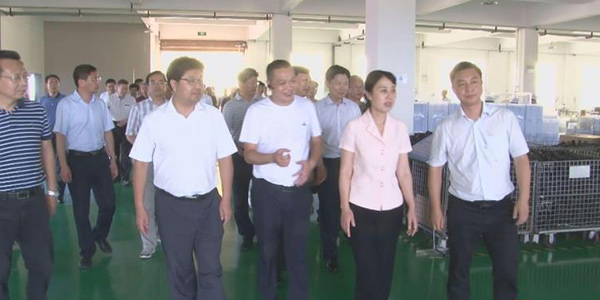原隨州市市委書(shū)記,現湖北省副省長(cháng)陳安麗參觀(guān)考察湖北德樂(lè )電力有限公司！
