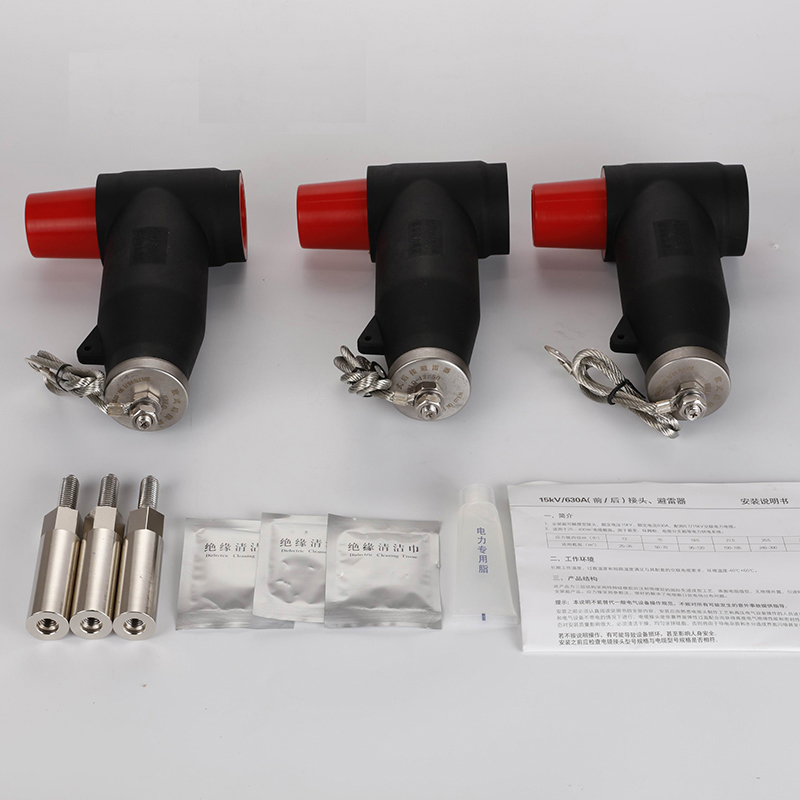 10KV歐式后接避雷器